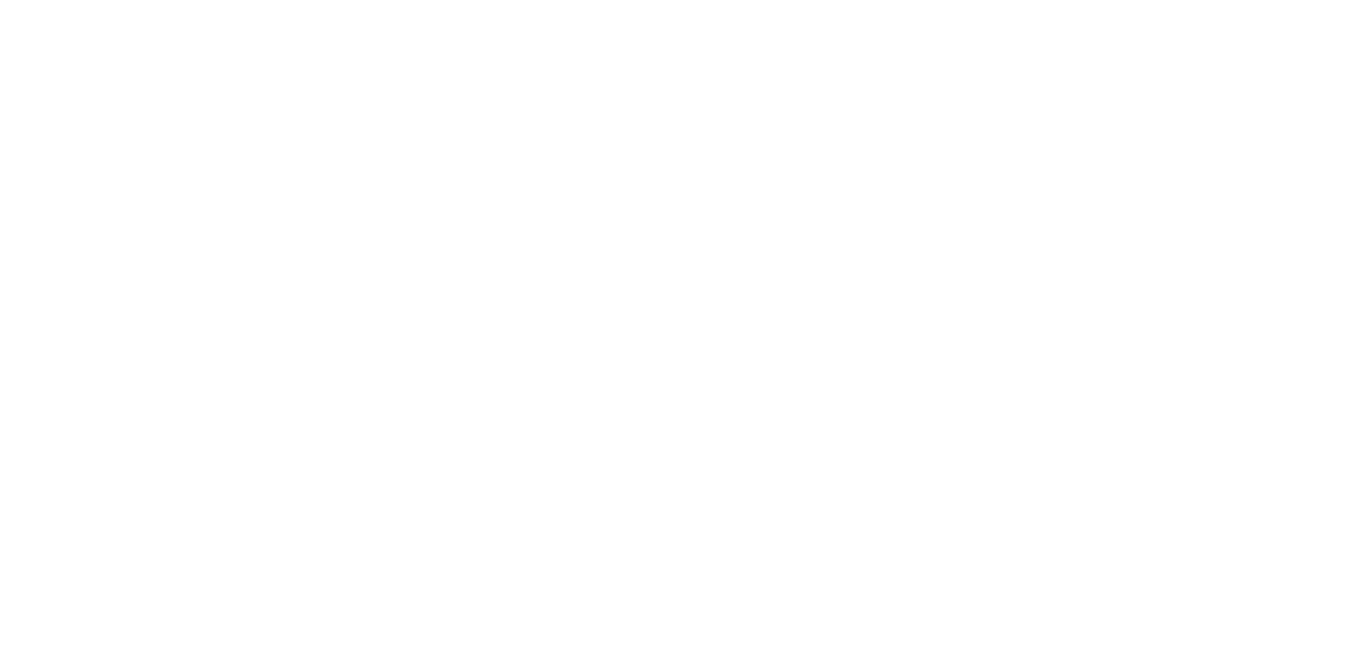 Socioz Logo